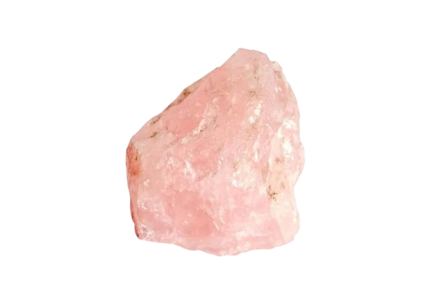 rose.jpg-removebg-preview